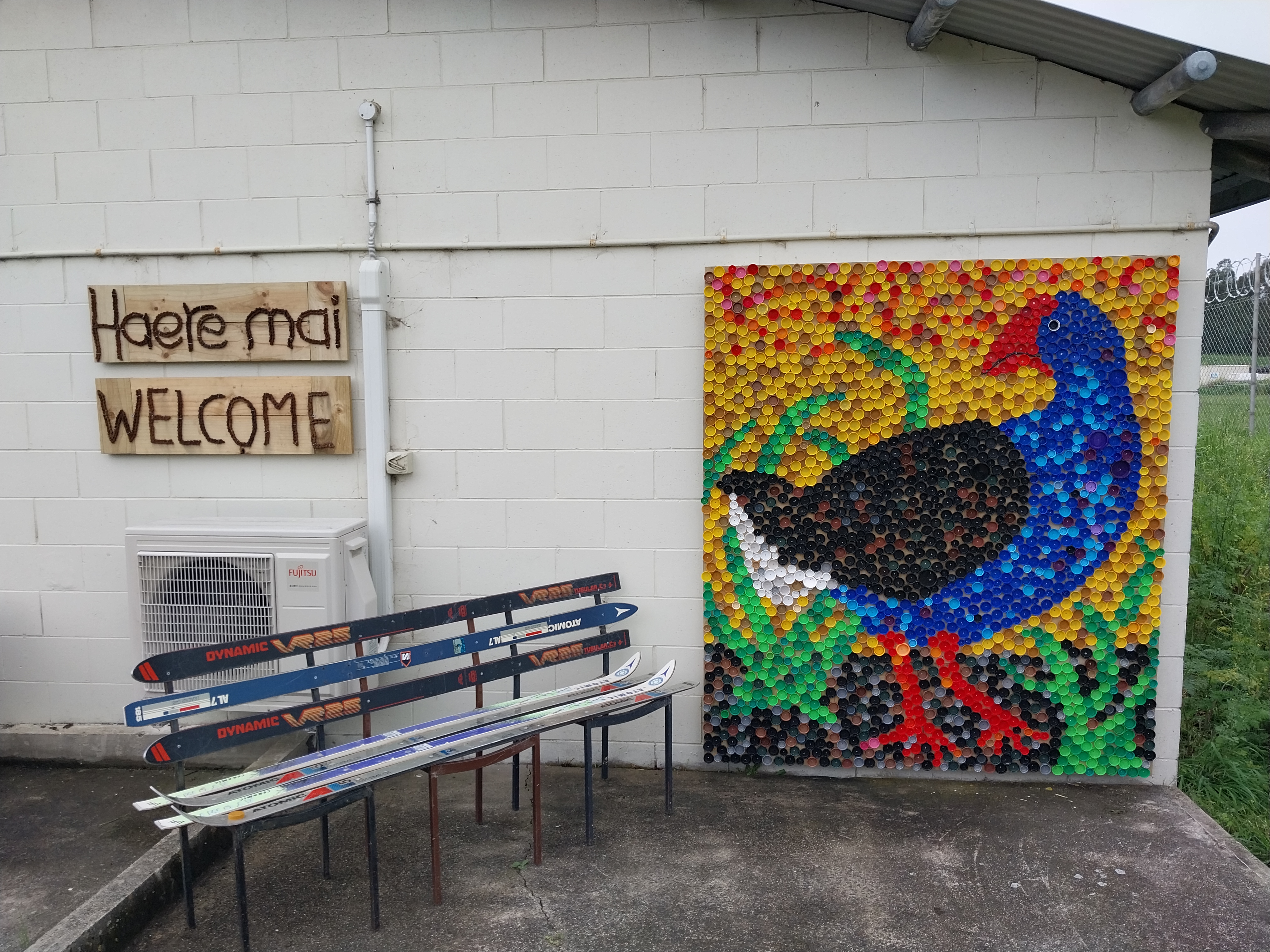 Plastic lid Pūkeko mural created by everyday environmentalist, Rowan