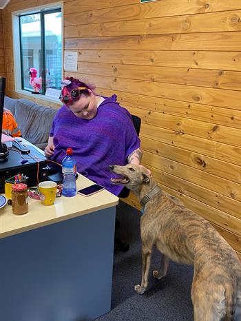 Gemma and Seattle from Nightwave Greyhounds