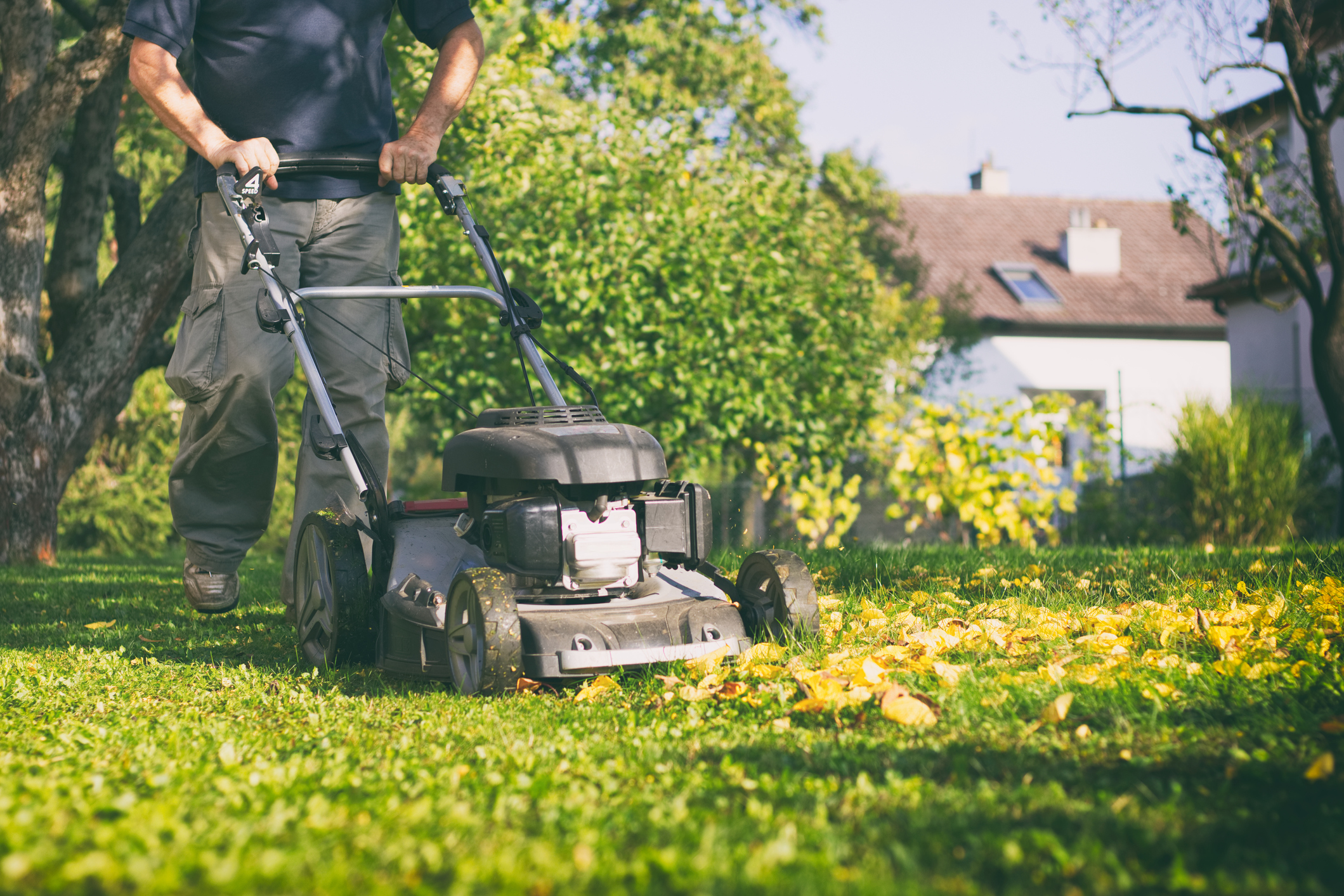 Three things to keep out of your garden waste bin