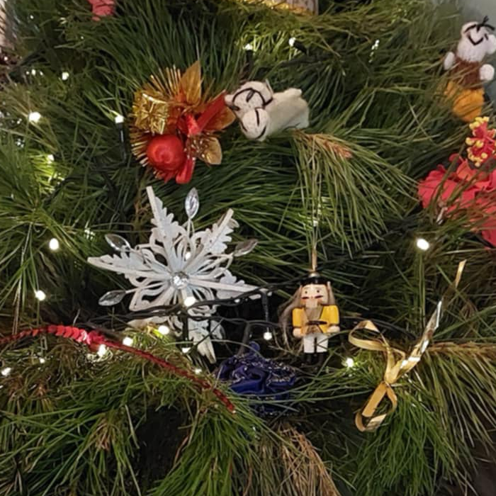 tree branches for christmas